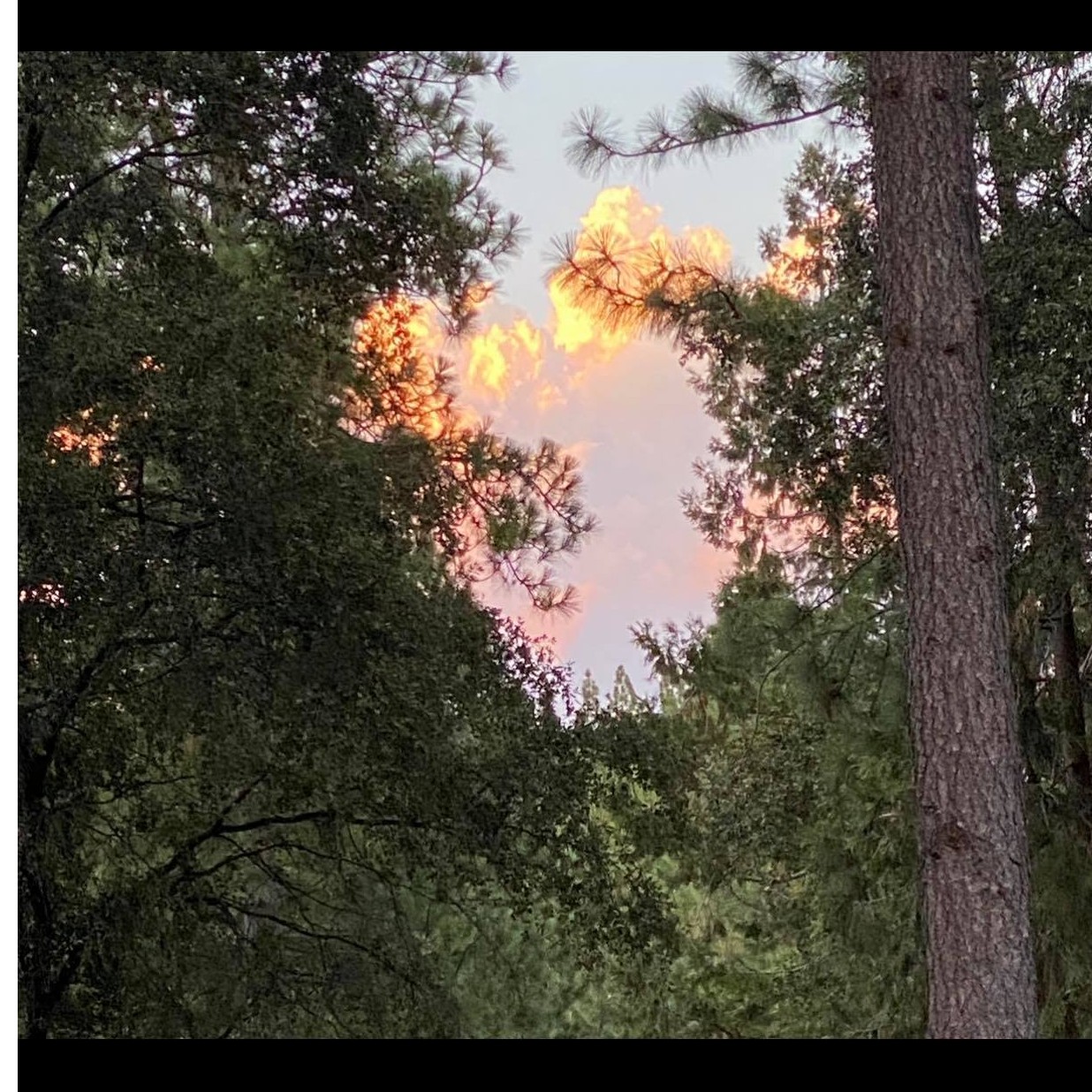 Horn Creek Rescue photo