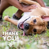 Humane Rescue Alliance photo