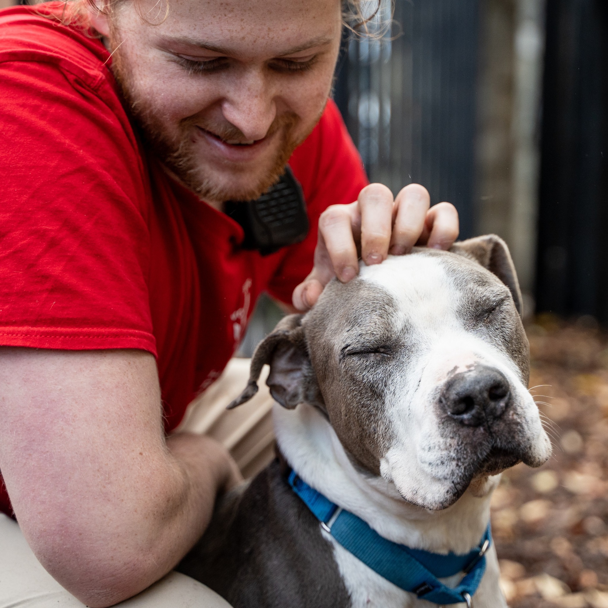 Humane Rescue Alliance photo