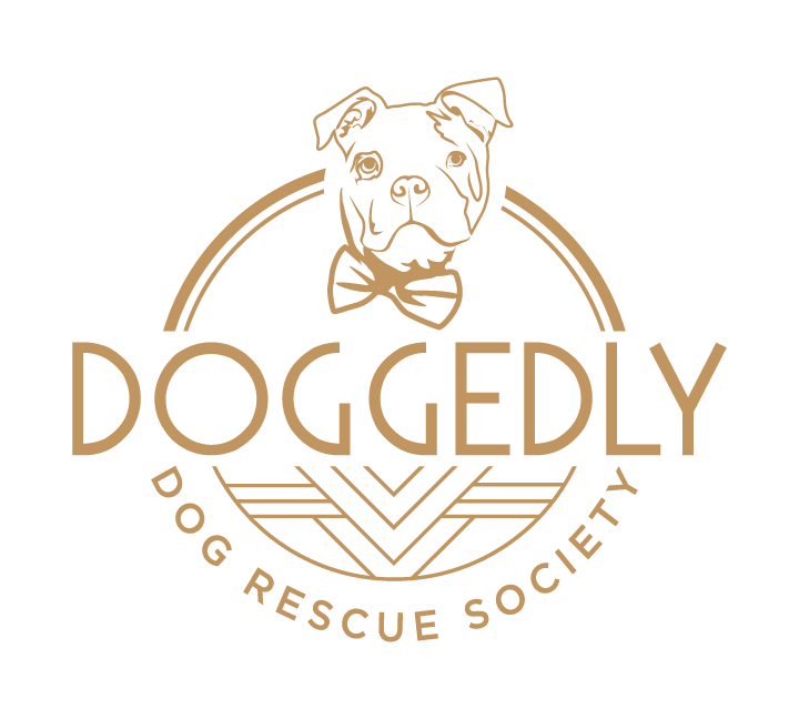Shelter logo