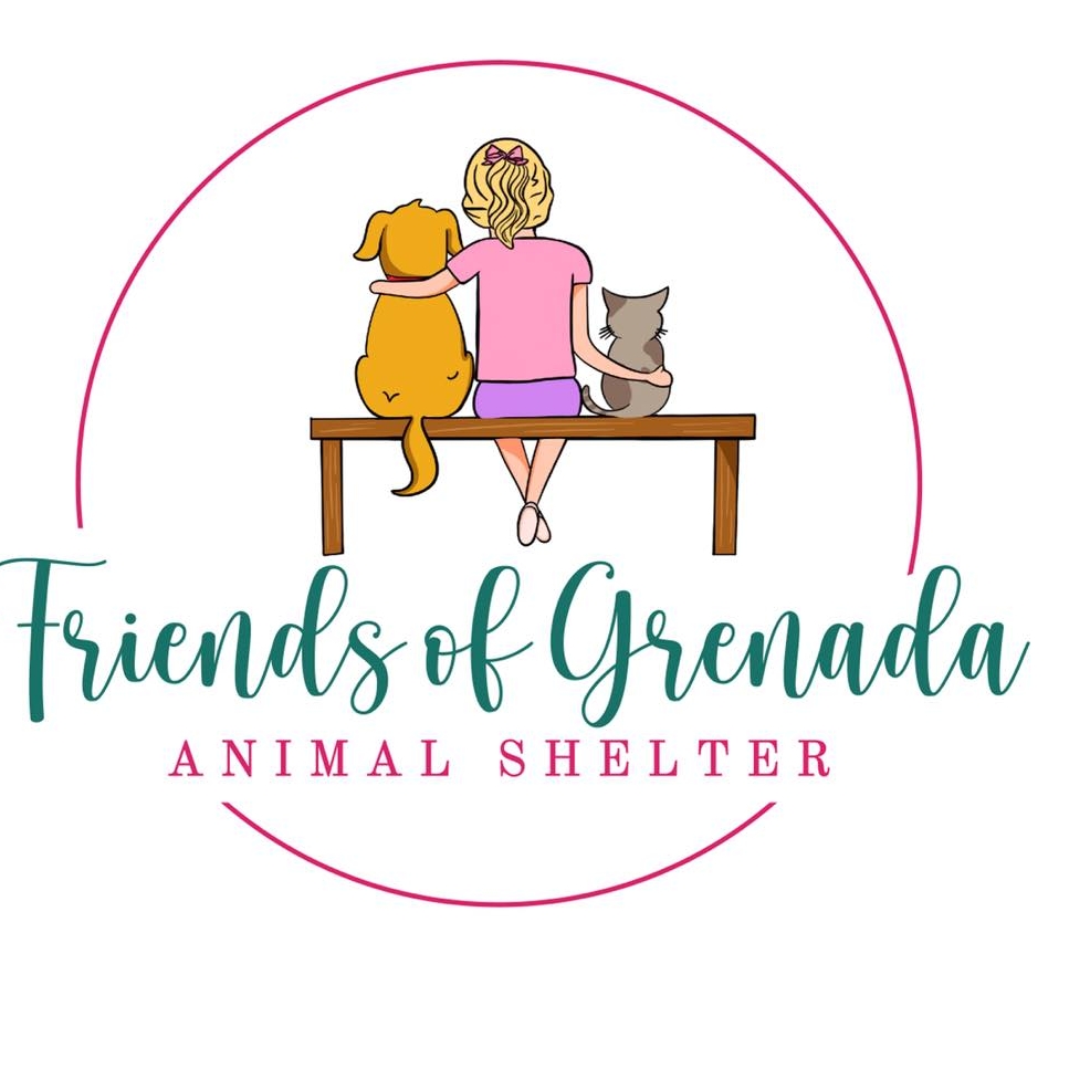 Shelter logo